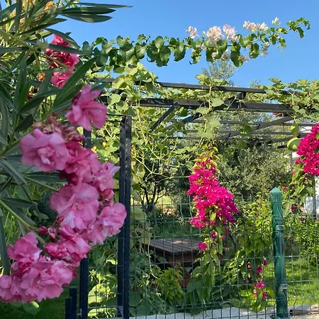 Zakkumevleri Hébergement de vacances *